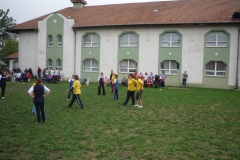 foci06