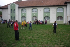 foci08