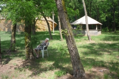 fozo08
